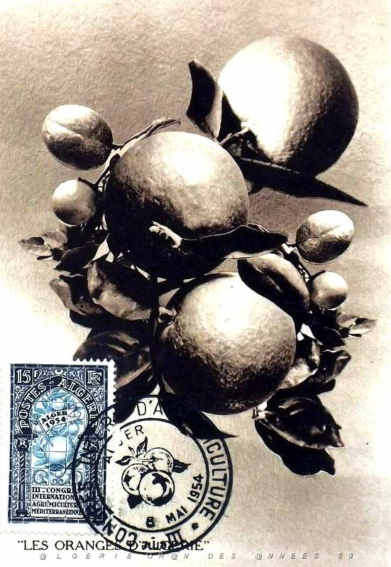 TIMBRES 1 ER JOUR (23).jpg